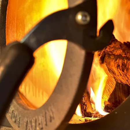 My Story Figueira Lisboa